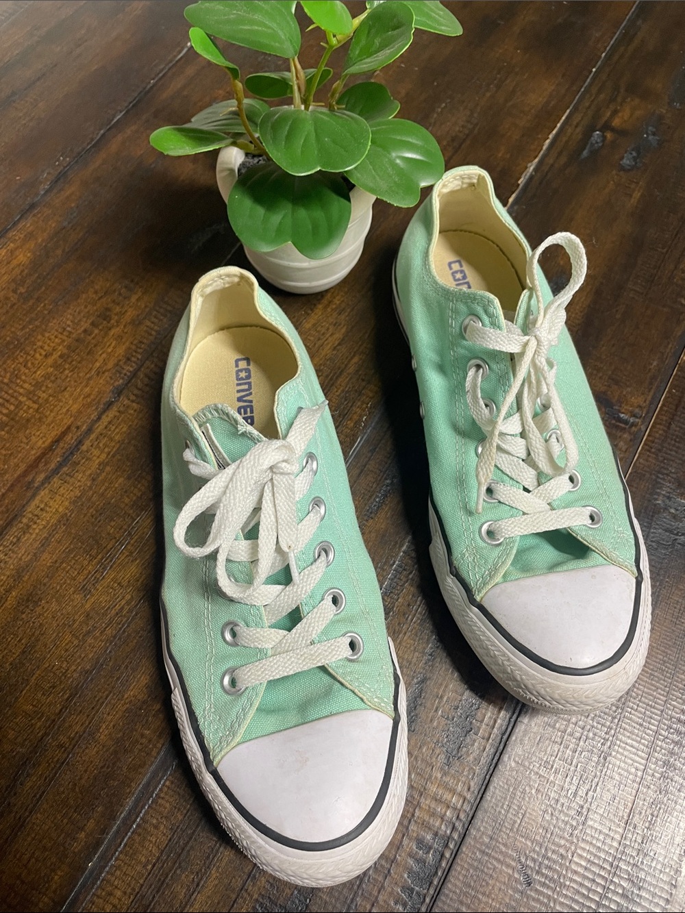 Converse Women's Classic Low Top Sneakers in Mint Green
